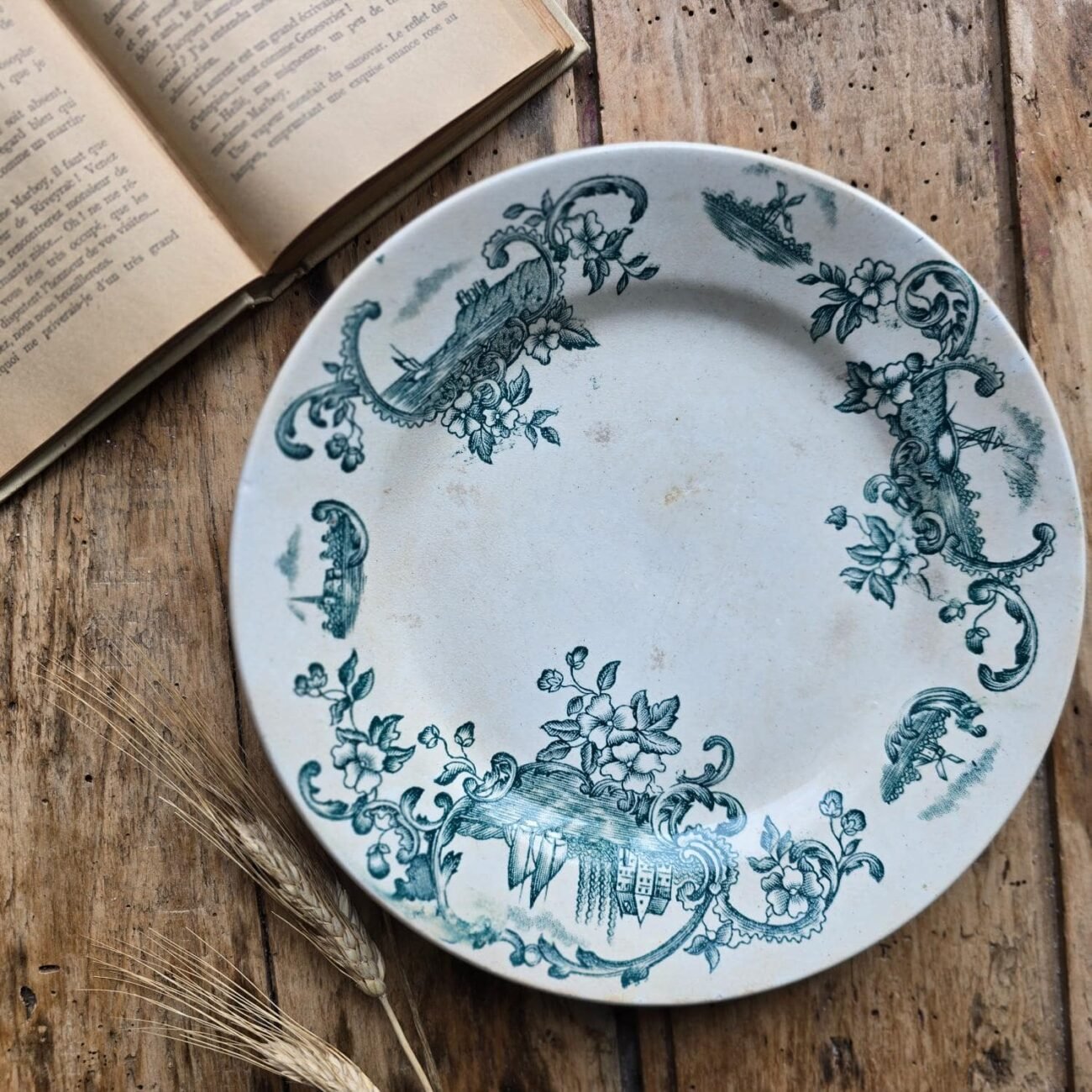 Assiette semi-creuse modèle Marine, Terre de fer