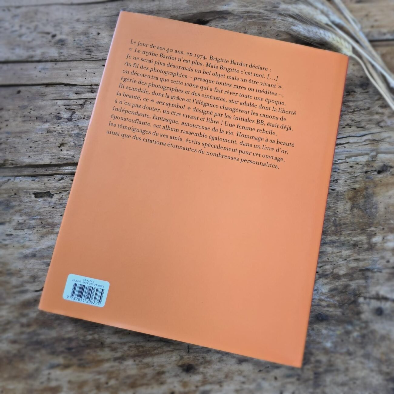 Dos du livre "Brigitte Bardot", résumé du livre sur fond orange