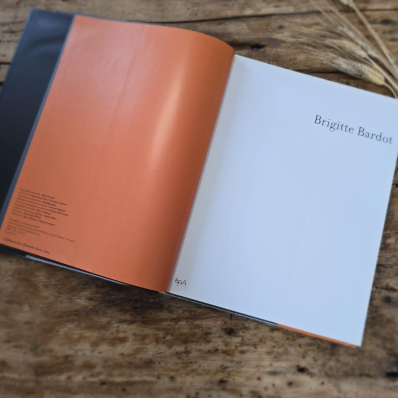 Interieur du livre Brigitte Bardot, page orange et titre du livre sur la page blanche