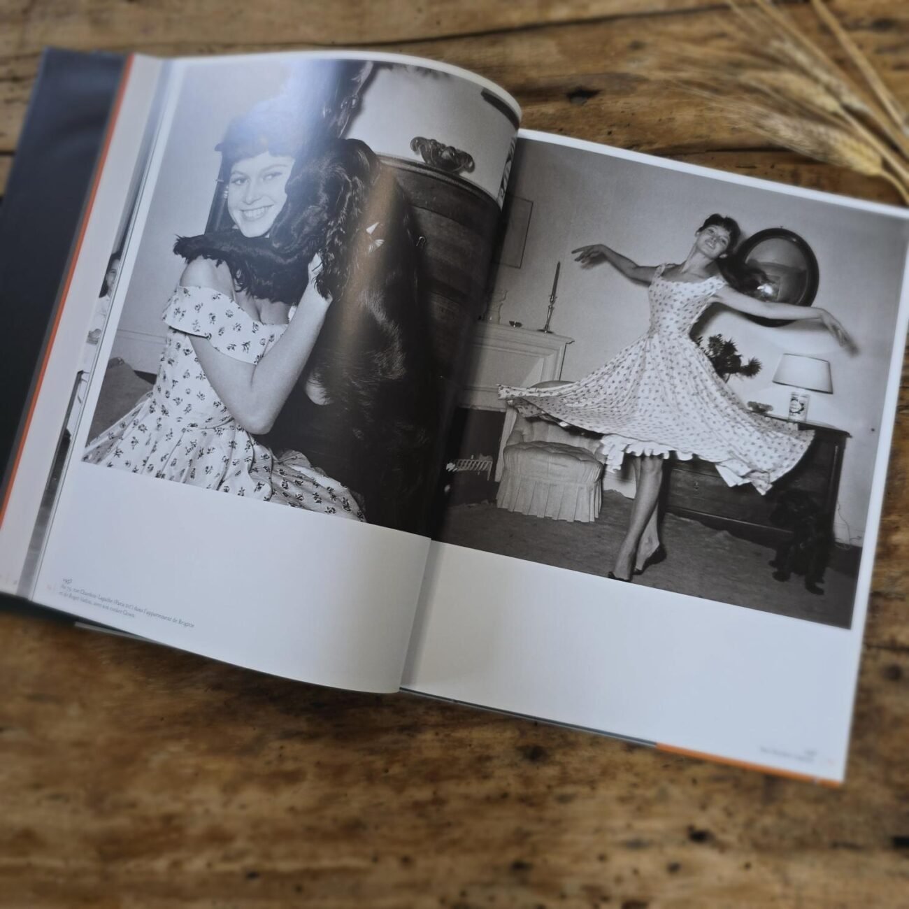 Page du livre 'Brigitte Bardot' - 2 photos noir & blanc N°3