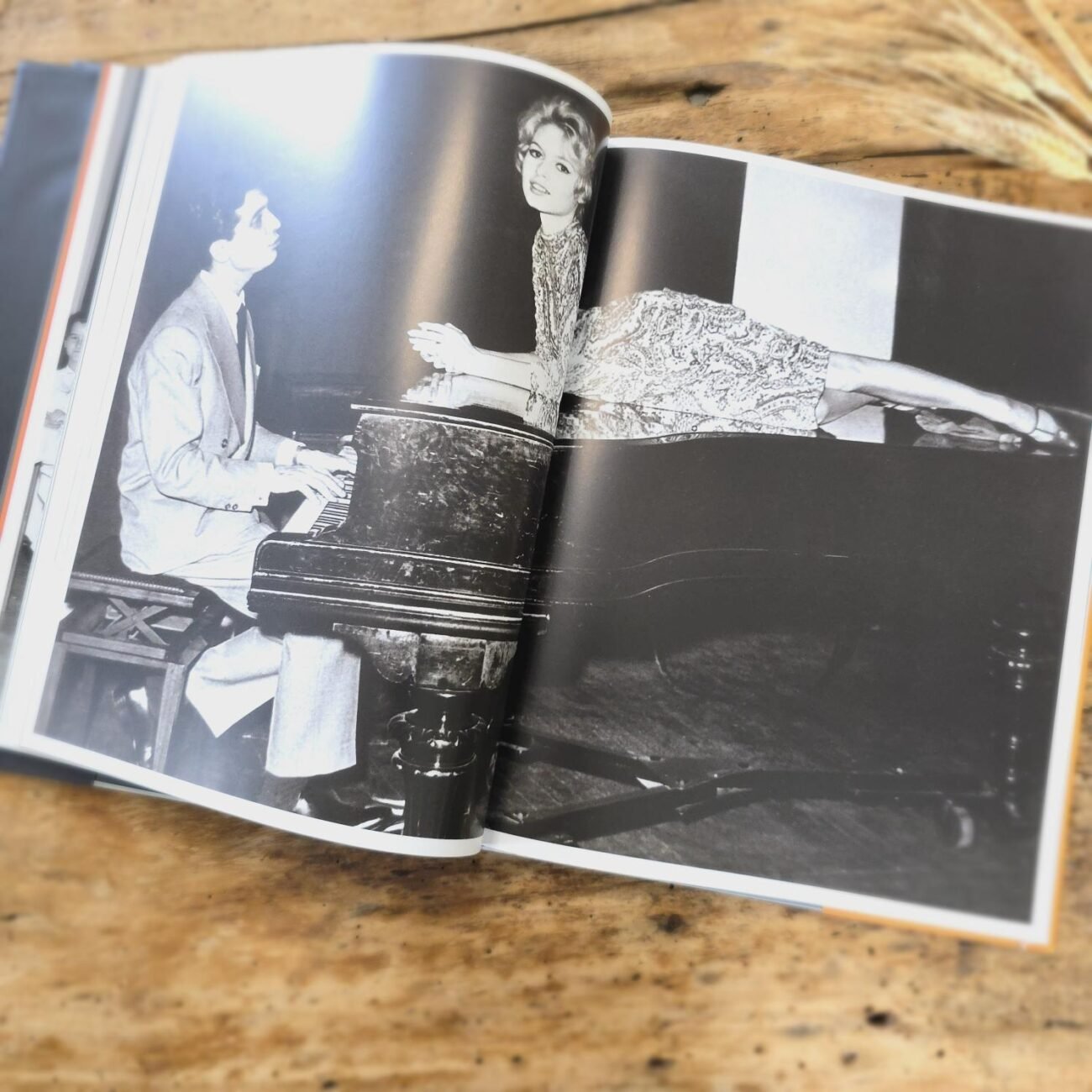 Page du livre 'Brigitte Bardot' - Photo sur double page N°1