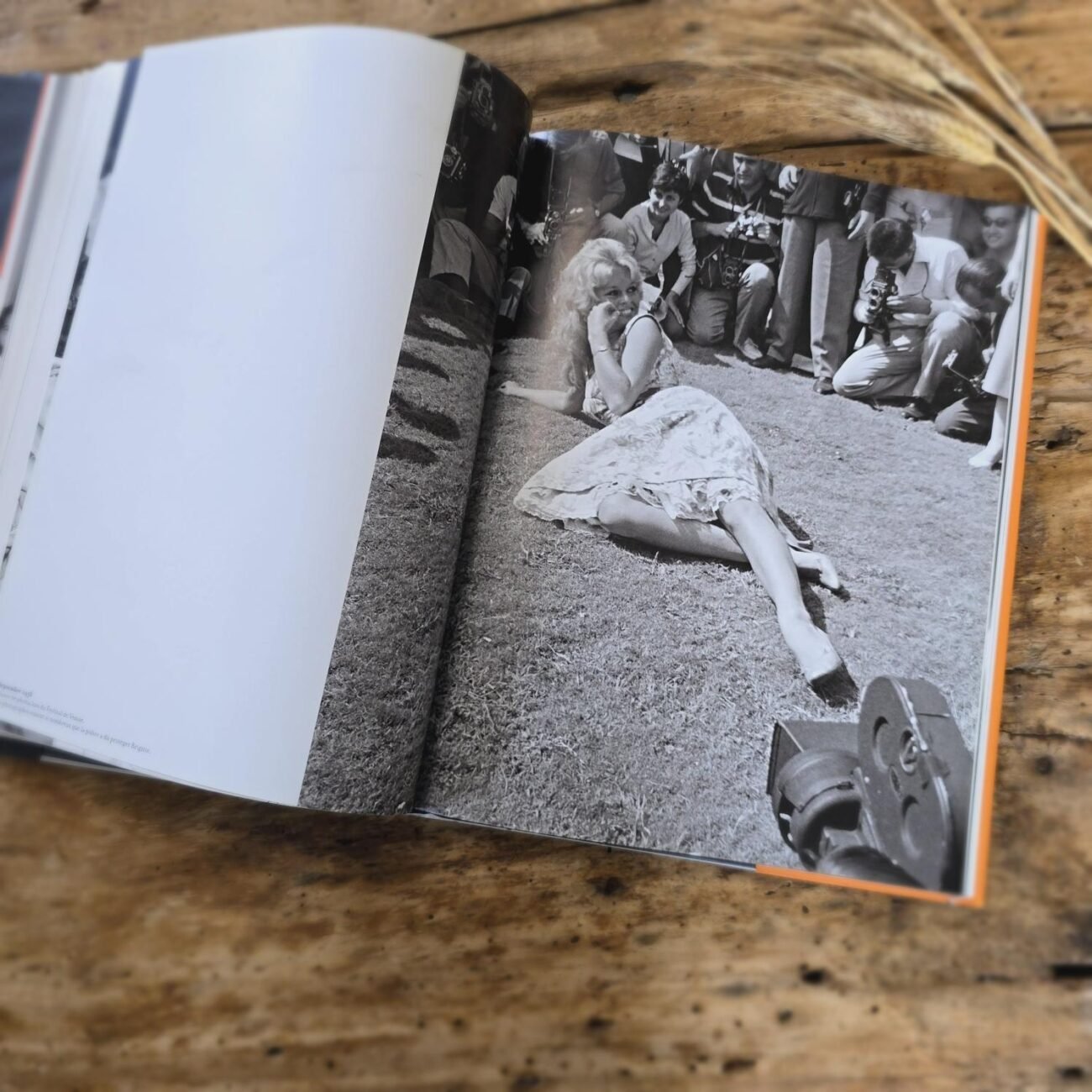 Livre Brigitte Bardot, photo stylisée de B.B