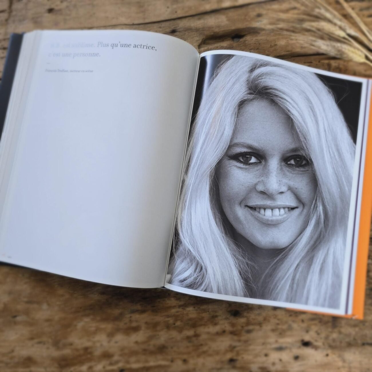 Portrait noir & blanc de Brigitte Bardot