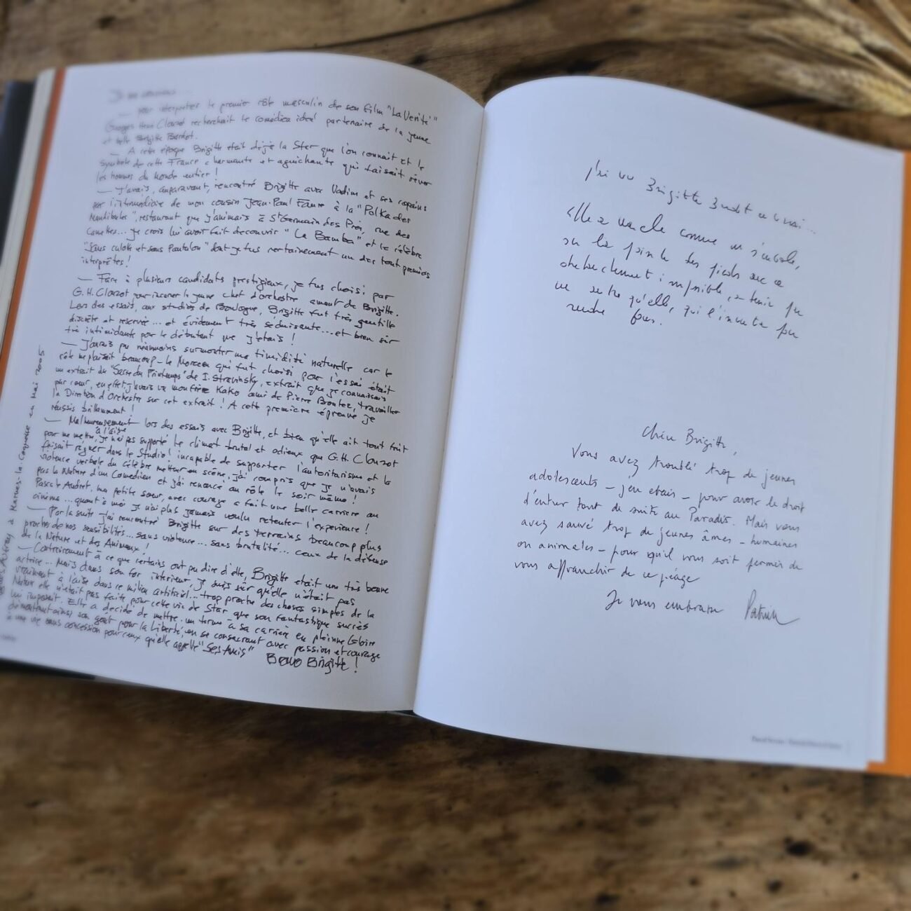 Livre d'or "Brigitte Bardot", extrait N°3