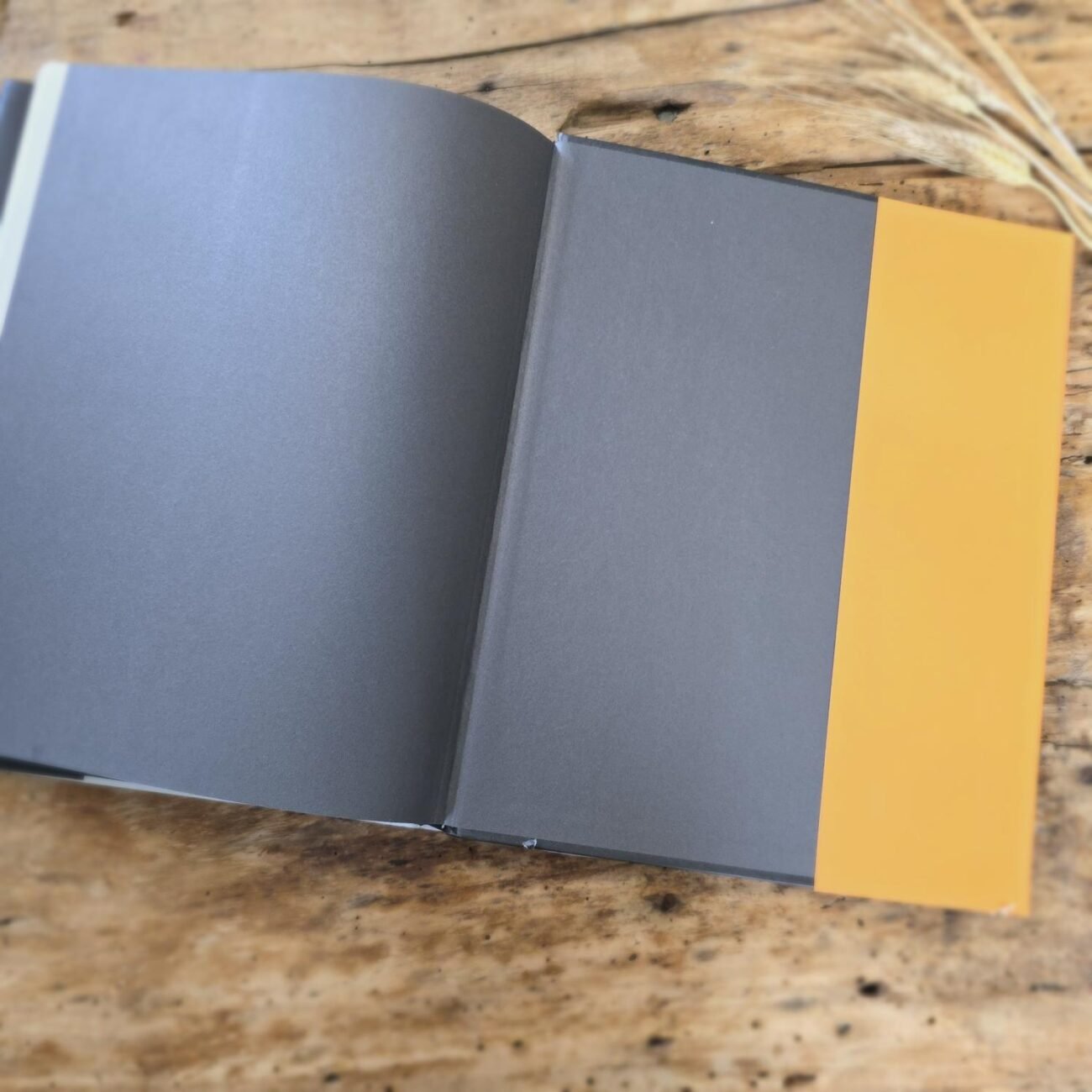 Dernières pages du livre noires mat