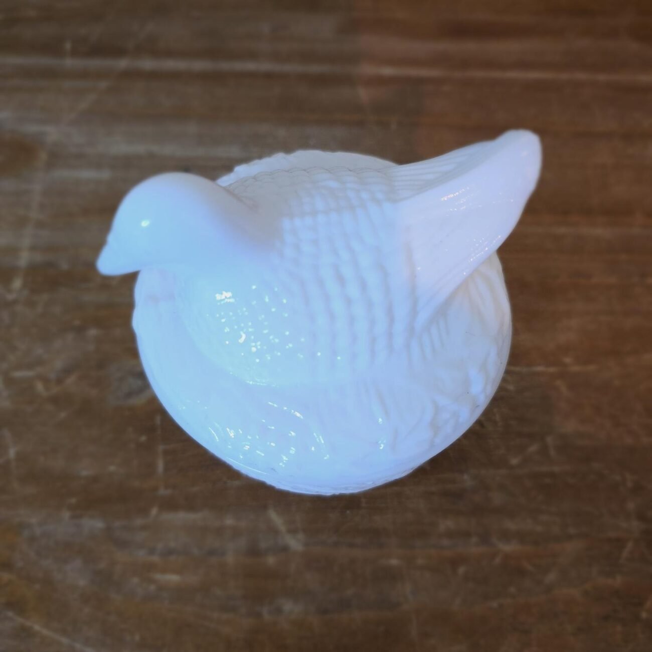 Zoom sur les détails en relief de l’oiseau