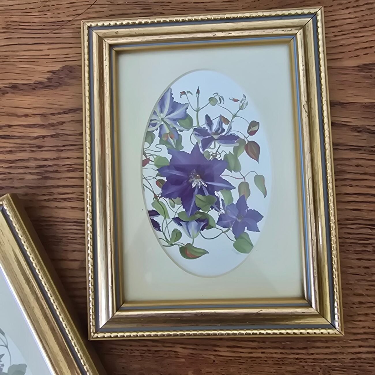 Petits cadres dorés sous verre avec illustrations florales V. Mappin type fleurs violette