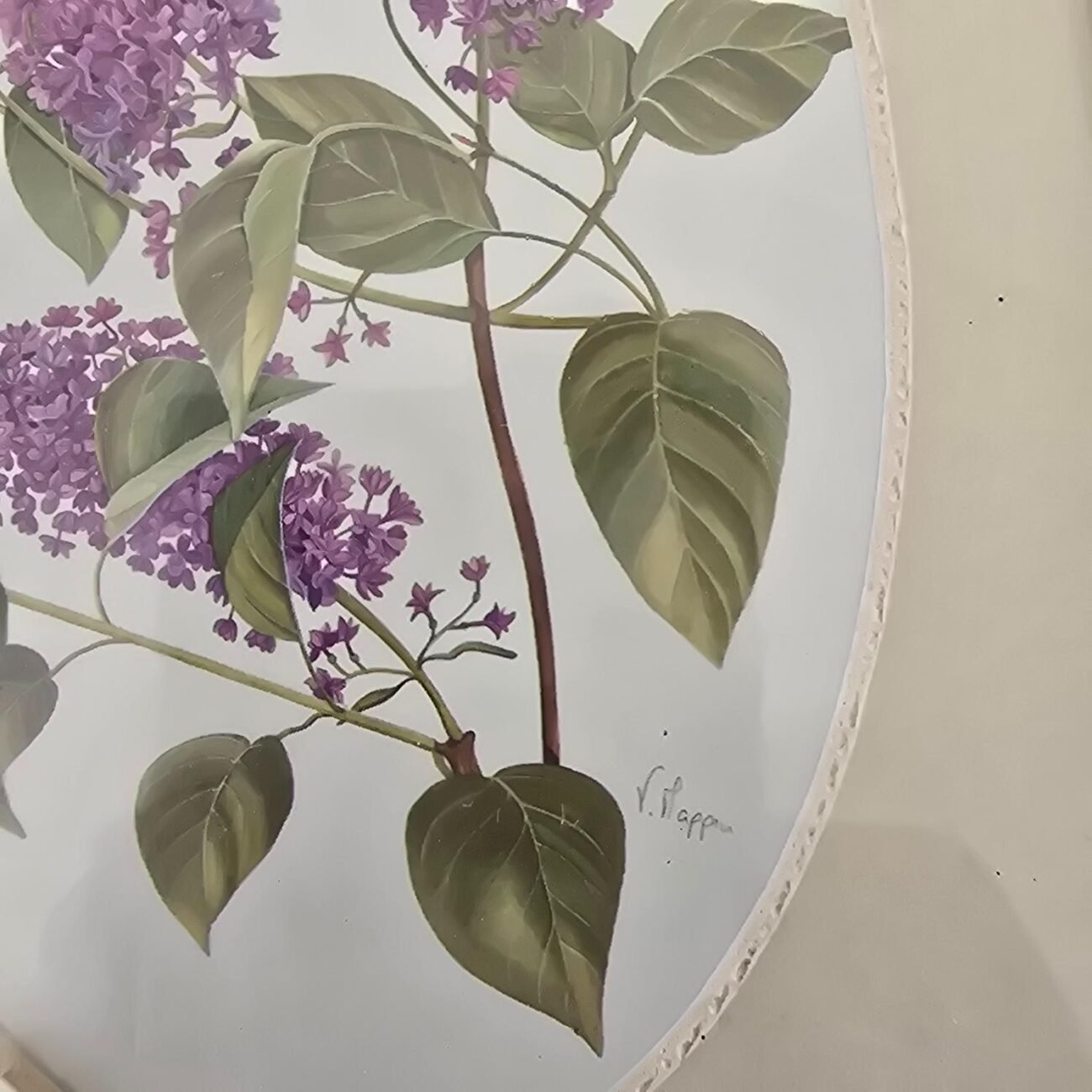 Détail d'une fleur move signée V. Mappin – illustration encadrée sous verre