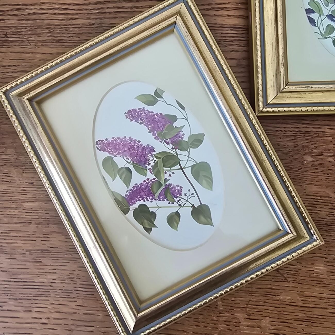 Petits cadres dorés sous verre avec illustrations florales V. Mappin type lilas move