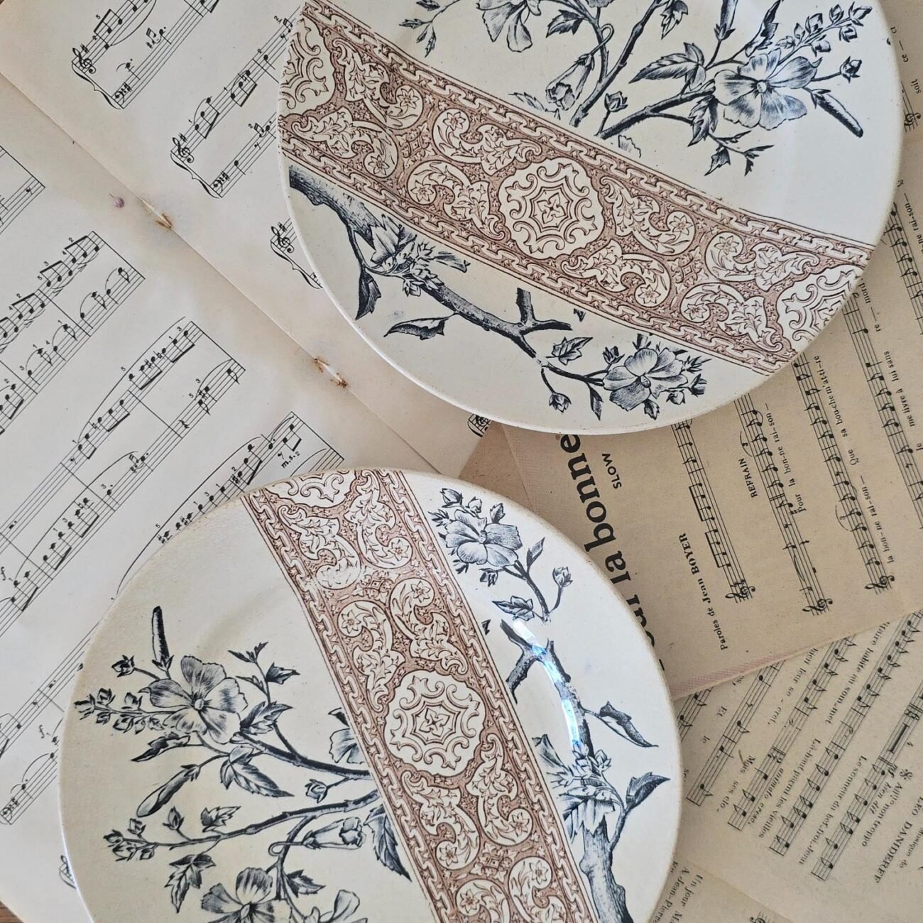 vue rapprochée du lot de deux assiettes Longchamp anciennes terre de fer décor floral bleu brun.
